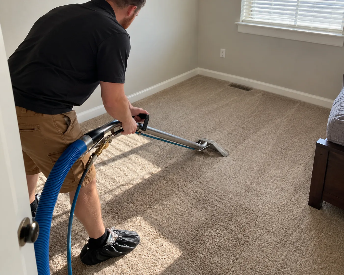 Carpet cleaning in a bright local home