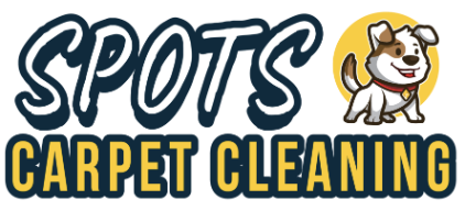 Spots Carpet Cleaning